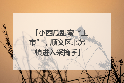 小西瓜甜蜜“上市”，顺义区北务镇进入采摘季